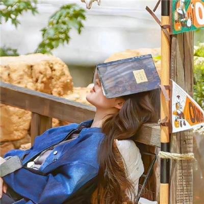 总裁你找错老公了